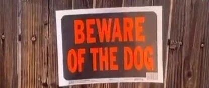 一心想养德牧看家！结果现实却无比残酷，这个让全网笑喷的小家伙到底是谁？