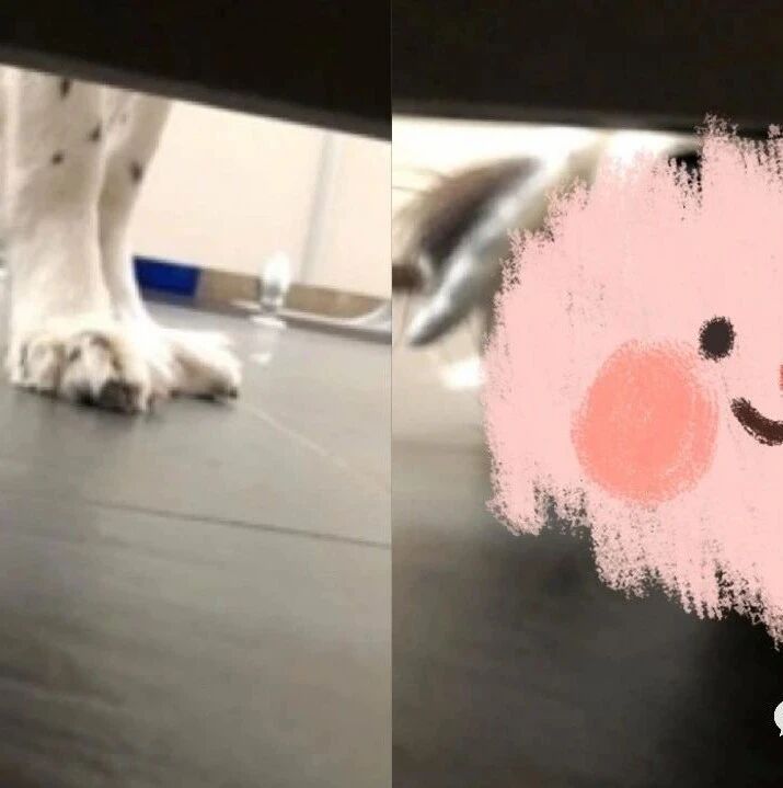 公园上厕所遇偷窥狂！毛绒绒脑袋从门缝隙钻进来狂看…她顿时吓坏求救！