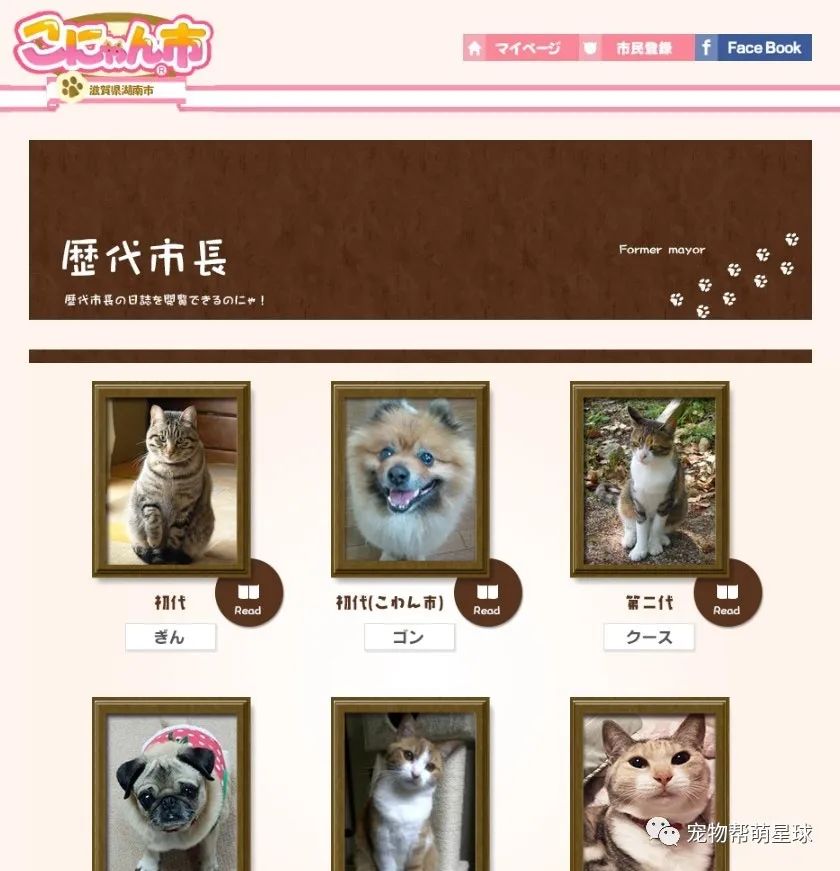 日本竟有湖南市！而且每年會選舉動物當市長，其中一隻汪脫穎而出成功上任 寵物 第4張