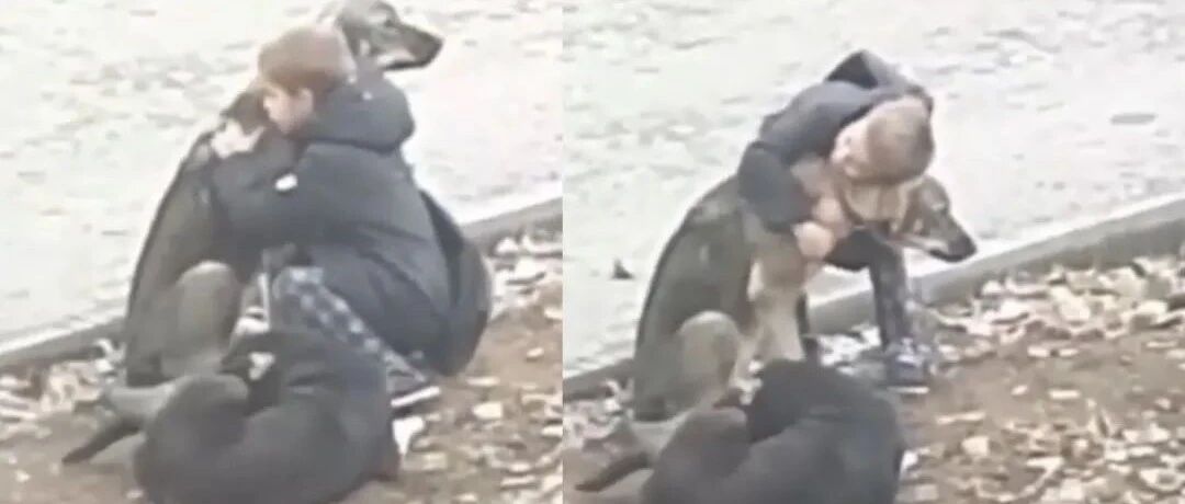 小男孩上学路上遇到流浪狗，热情拥抱爱抚的举动融化无数网友！