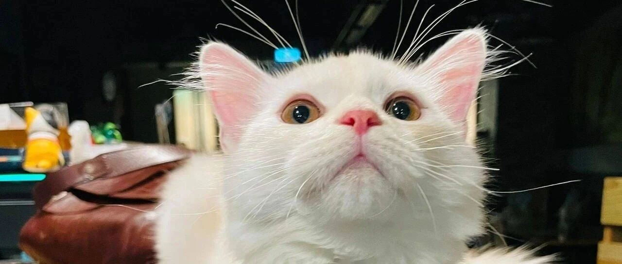 客人一度要离开餐厅，但五个小时过后依旧纹丝不动，餐厅老板一问差点尴尬死！