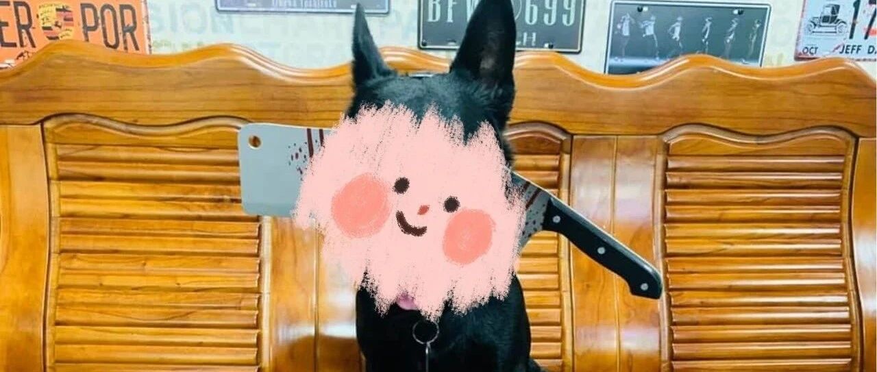 黑狗遭菜刀劈头！鲜血直流令人心痛，结果竟有眼尖网友立马识破命案…