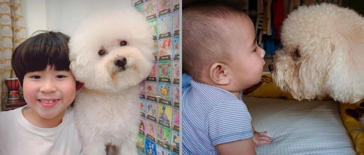 狗狗半夜失常狂吠吵醒全屋人！妈生气追入房间见吓人一幕……