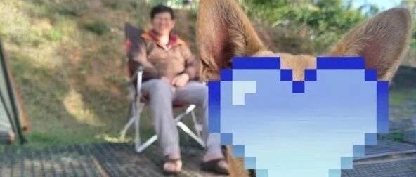 拍全家福倒数一半…心机汪立马冲过来霸占镜头，最后得意一笑：还是老子最帅！