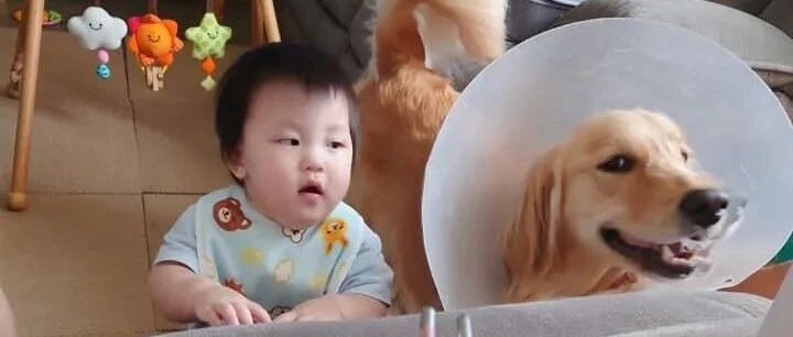 人类幼崽大战狗狗就为了抢吃的！网友们：看把狗逼的，给它吃点吧...