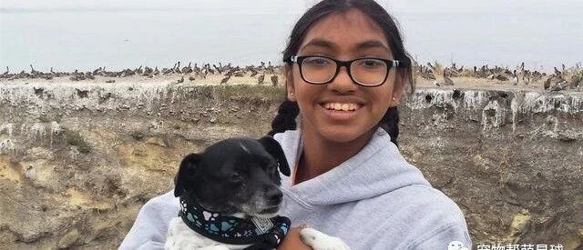 印度少女无私救助老狗，揭秘少女身世后竟让所有人震惊！