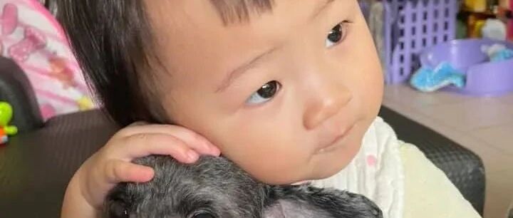 小主人出生狗狗贴身守护，关系好到主人都吃醋：“没我位置了..”