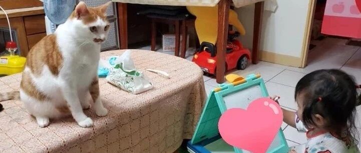 猫哥充当职业模特引发两岁妹妹的绘画灵感，结果竟创作出“世界级”作品…