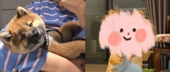 小柴意外长出爆炸双马尾！猛一看以为翻版“闲人马大姐”：哥的潮流你们不懂吼