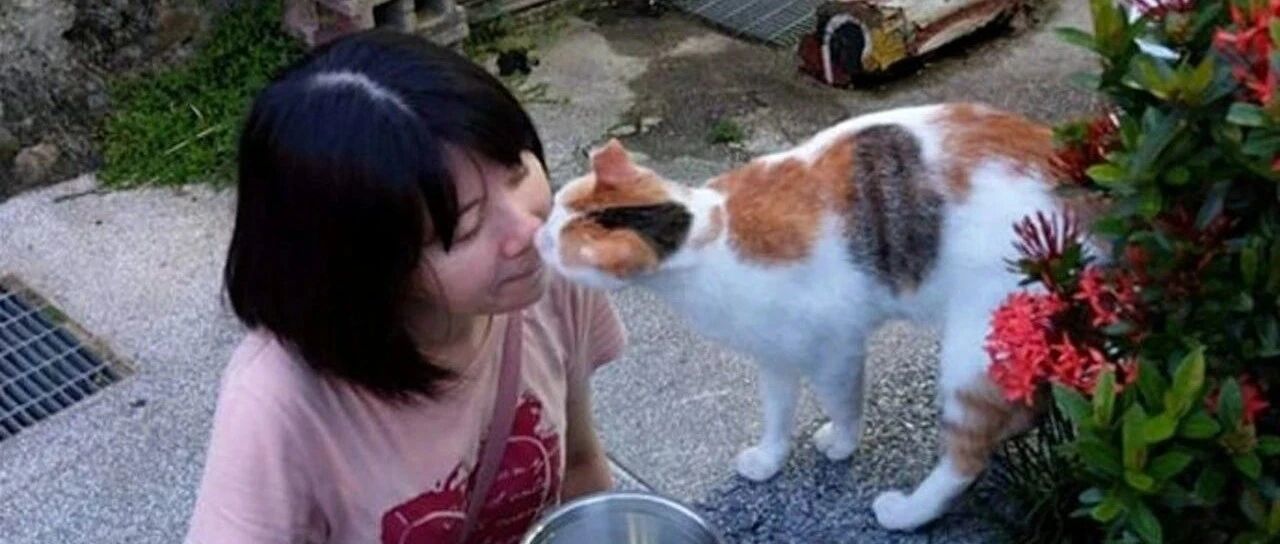 流浪猫含情脉脉求妈包养，入屋后竟迅速暴露本性，看妈眼神极嫌弃：不想演了，累！