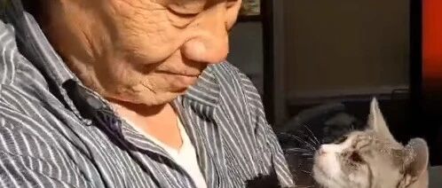 父亲自认为不爱猫，直到女儿把猫咪们带回家，他的手竟粘它们身上了...