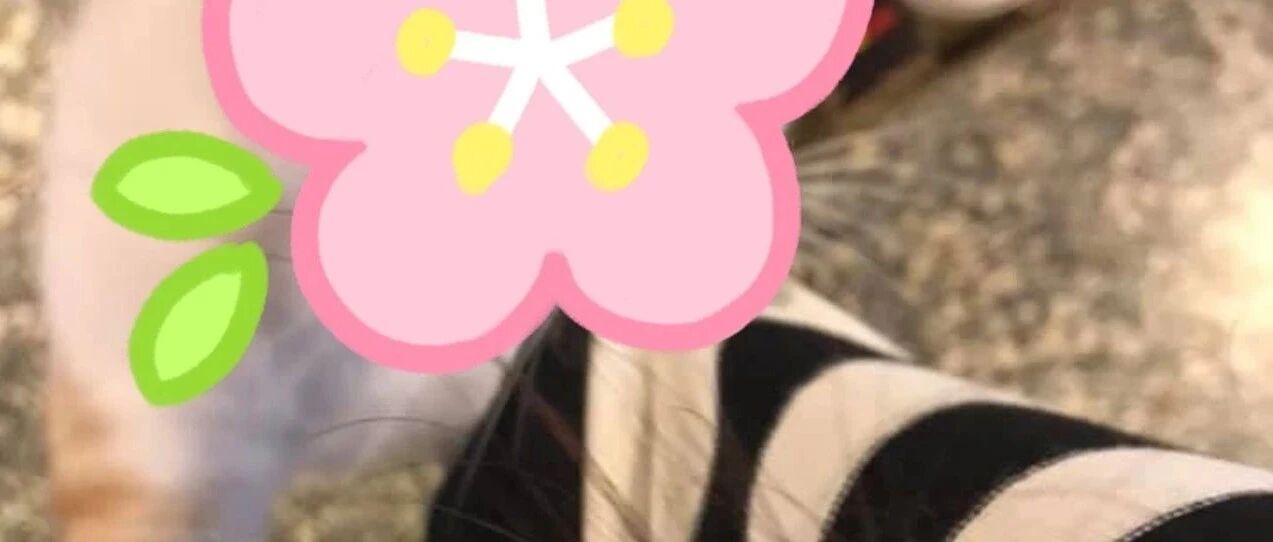 网上控诉自己惨遭职场欺凌，结果网友反而让她选择原谅，只因施暴者长得太美？