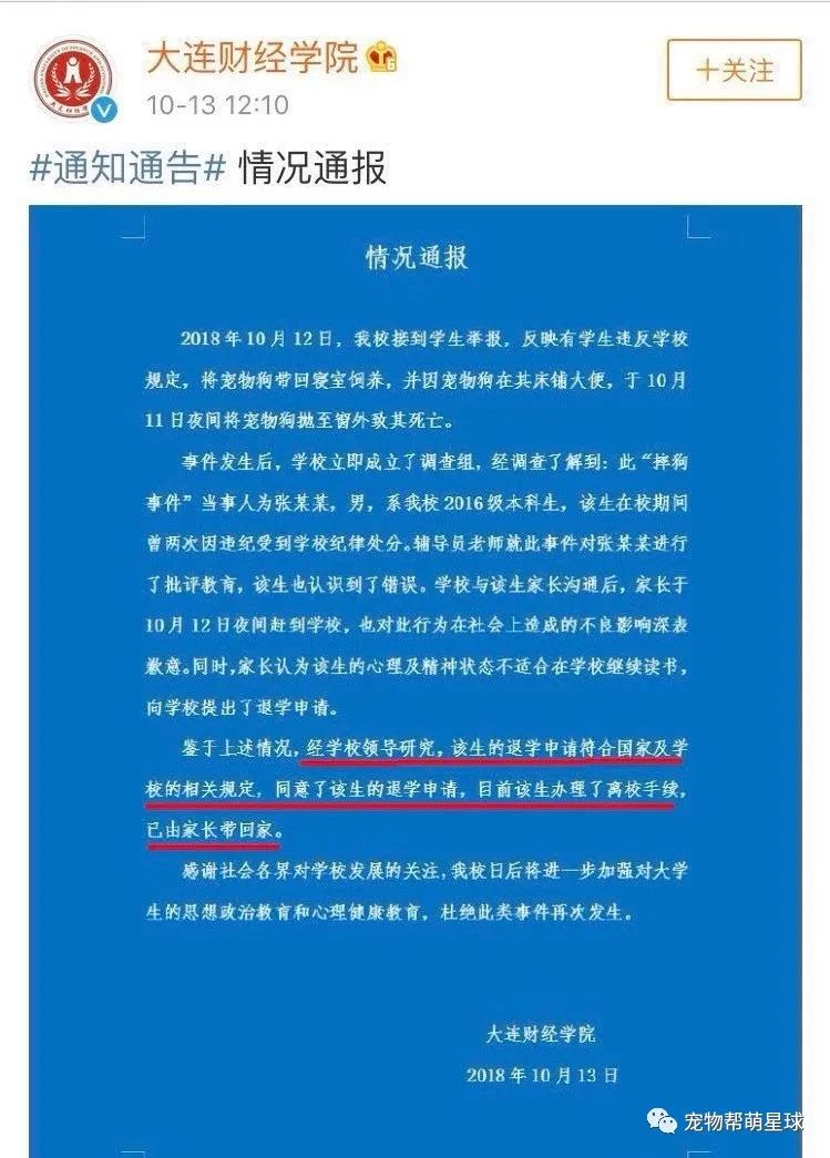 我的憂鬱症好了，所以我開心的把伴侶犬扔了… 寵物 第15張