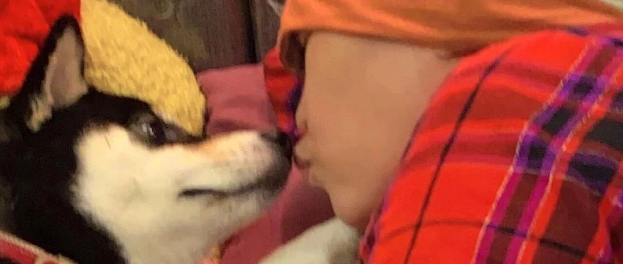 乳癌复发死神再次靠近，妈身上插管卧床，黑柴竟做出最人性举动…