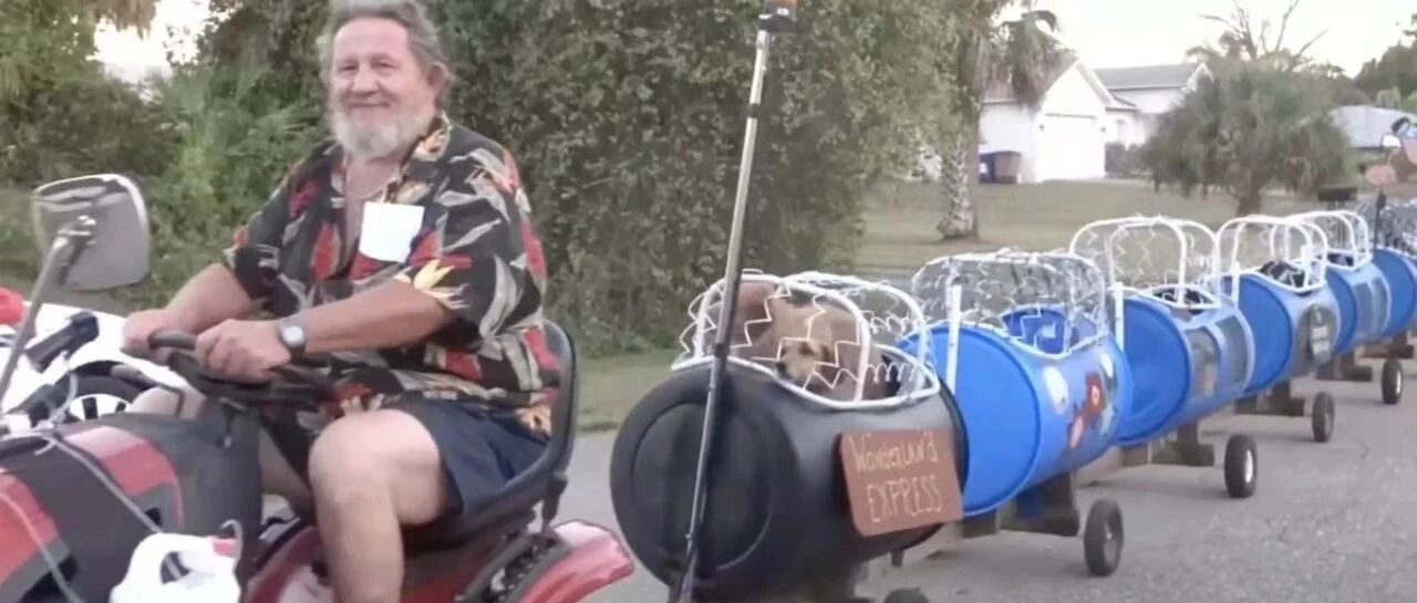 主人给毛孩子建造专属小火车，网友：这是要带它们去探险吗？