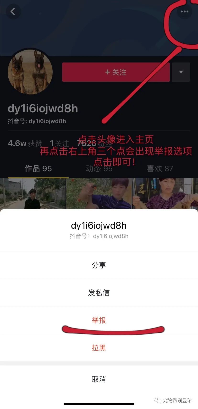 繁殖場為了賣狗，竟生拽狗尾做出一系列虐狗行為，一起舉報她！！！ 寵物 第17張