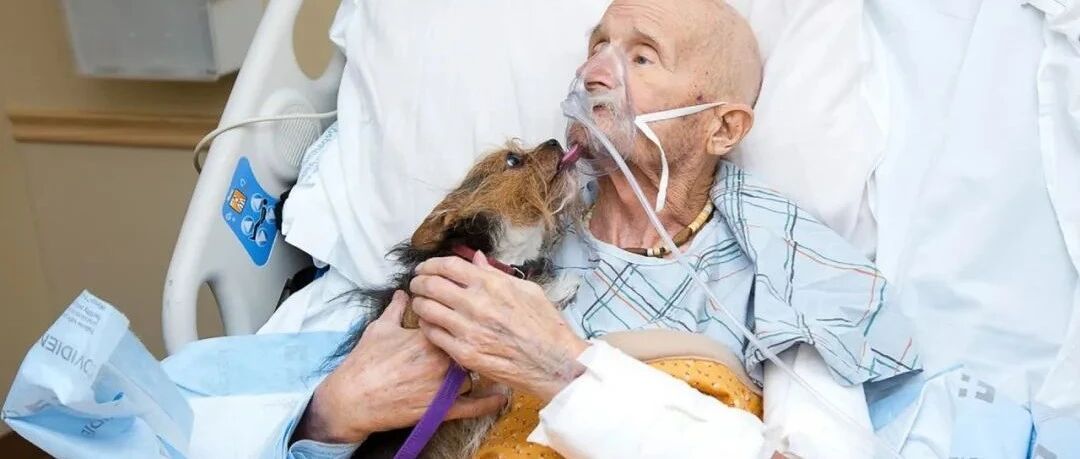 退伍军人想最后再看一眼爱犬，重逢画面却是满满洋葱...