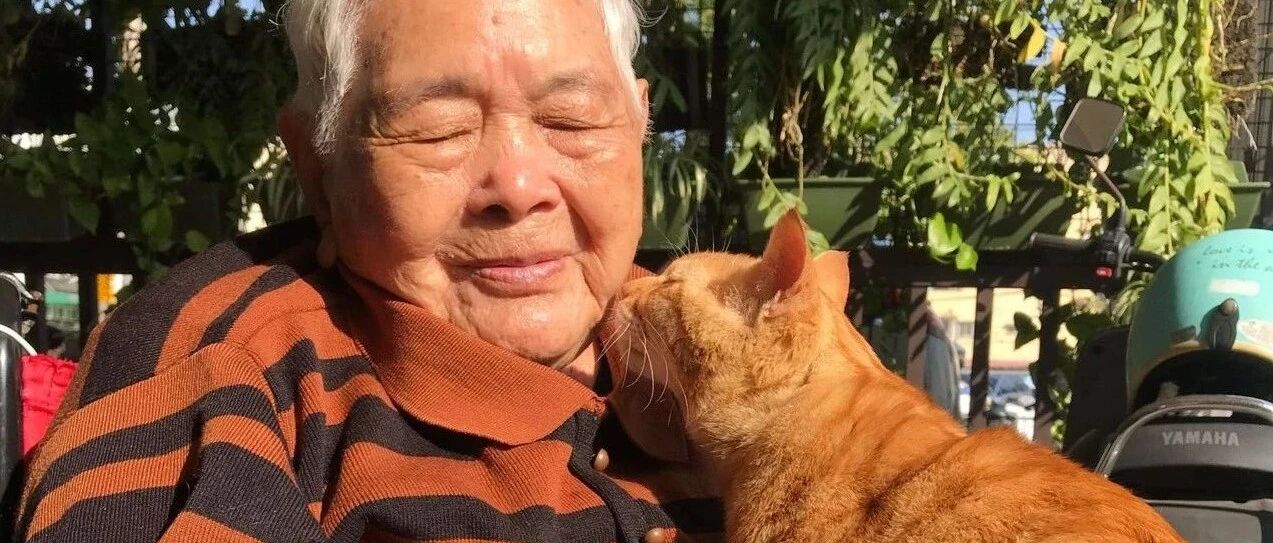 93岁奶奶靠轮椅代步终日厌世，遇橘猫后性格竟开始180度转变，全家都感谢它!