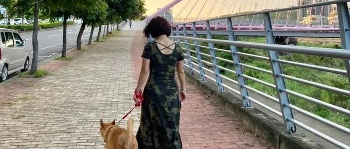 刚领养回家的狗狗害怕胆小不亲人，网友花一年时间终于打破僵局！