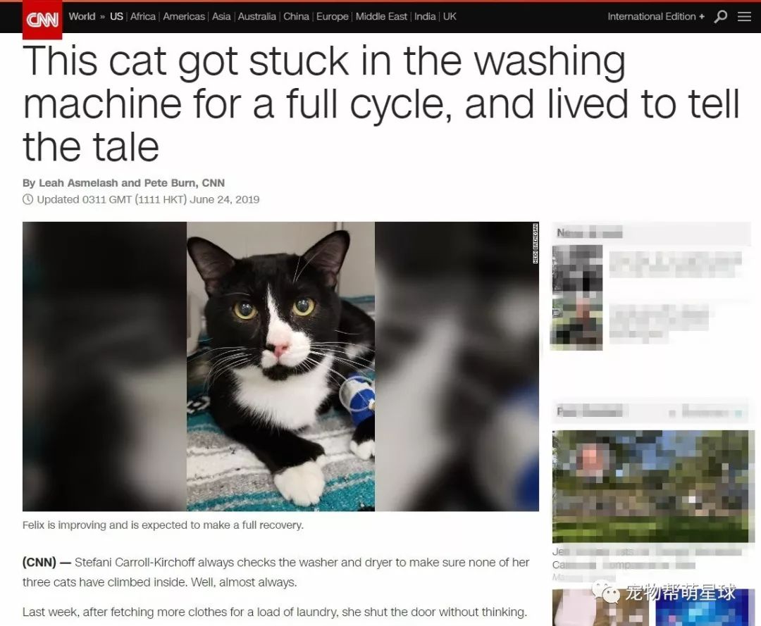 貓貓被洗衣機洗滌半小時，11年養貓經驗的主人，一個疏忽差點害死主子！ 寵物 第2張