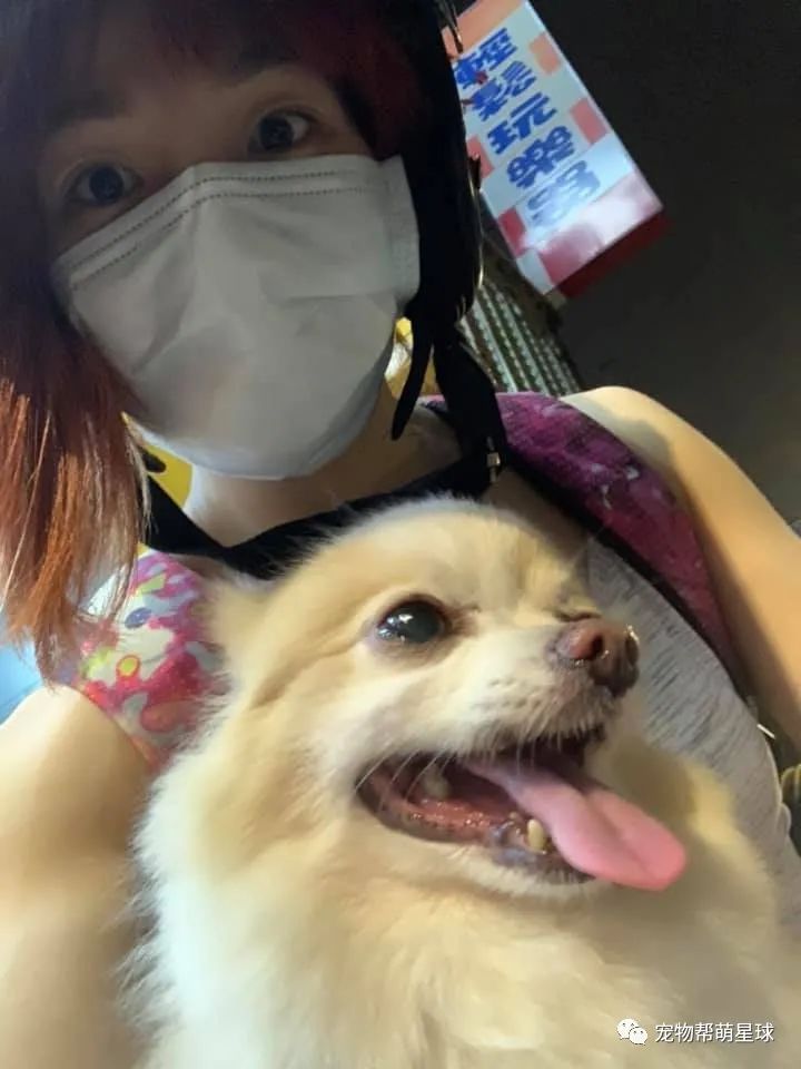 愛犬在車上開心微笑，緊接著媽聞見一股怪味，定睛一看這東西竟然沾滿小腿！ 寵物 第10張