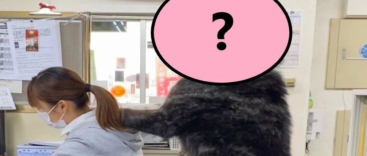 女生工作被大毛掌搭肩超级淡定，反而吓傻网友：遇到黑熊还不跑？