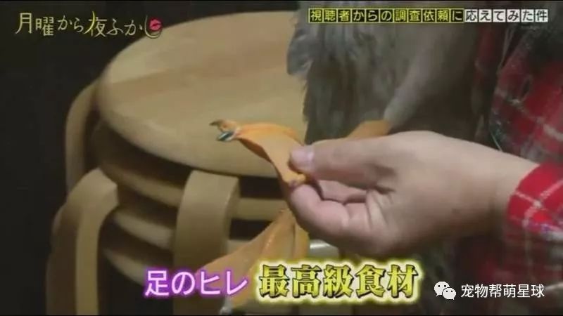 日本老奶奶在寵物鴨面前「手刃同類」，惹網友爆笑：鴨力好大啊！ 未分類 第4張