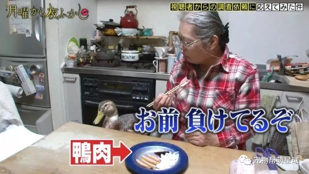 日本老奶奶在寵物鴨面前「手刃同類」，惹網友爆笑：鴨力好大啊！ 未分類 第8張
