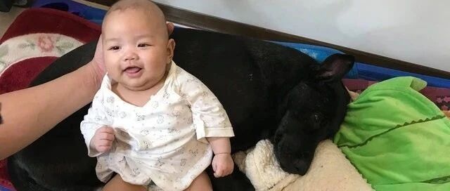 妈被狂问生小孩后狗狗怎么处理？没等妈回答，弟弟一个举动直接让亲戚闭嘴！