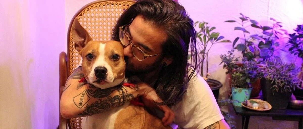 一男子和工作犬像家人般共处四年，如今疫情下失业，主人宁做监狱也无法放弃爱犬