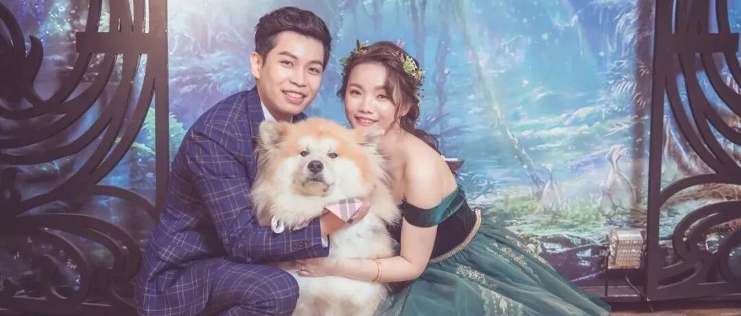 重大喜讯！！现在养狗也可以管分配对象了！还是包结婚的那种！