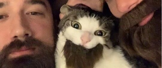 妈妈为了争得猫主子喜爱，竟灵机一动想出这种手段？绝对是真爱！