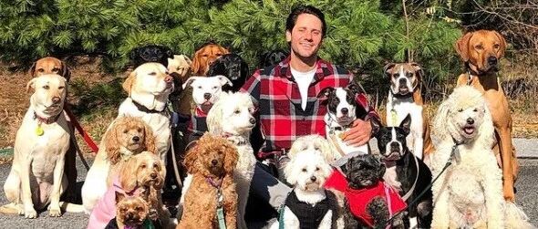 男生一次牵20只狗“炸街”，路人直接看呆！这背后其实隐藏暖心小秘密…