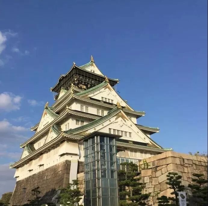 大学 城 短期 名古屋 龍