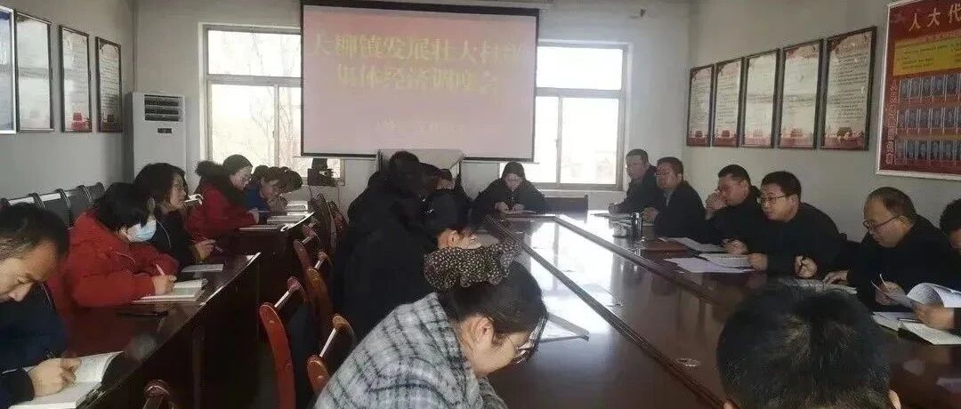 大柳镇召开发展壮大村集体经济调度会