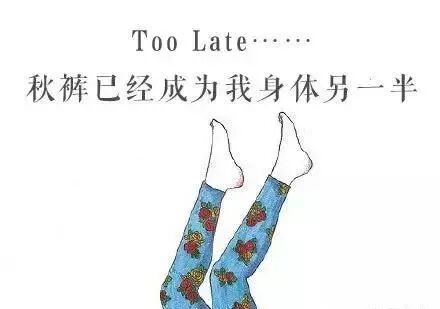 穿秋裤-脱秋裤-穿秋裤-脱秋裤