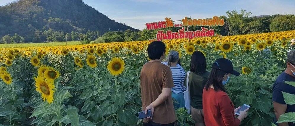 泰国现在对旅游什么态度？只要办好证件，我们热烈欢迎……