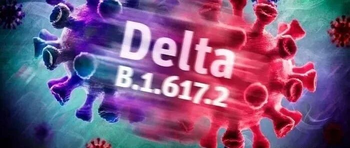 疫情恶化，抗议升级！泰国名门望族明星坦言：很失望，想移民美国