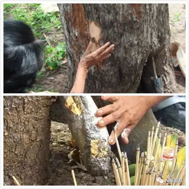 泰國司空見慣，老外嘖嘖驚嘆——15種獨有的泰式習俗 旅遊 第16張