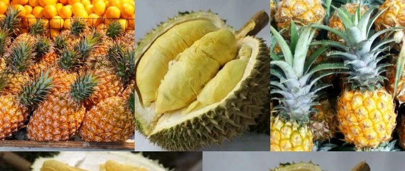 泰国榴莲笑了，台湾凤梨哭了……都是水果命运千差万别