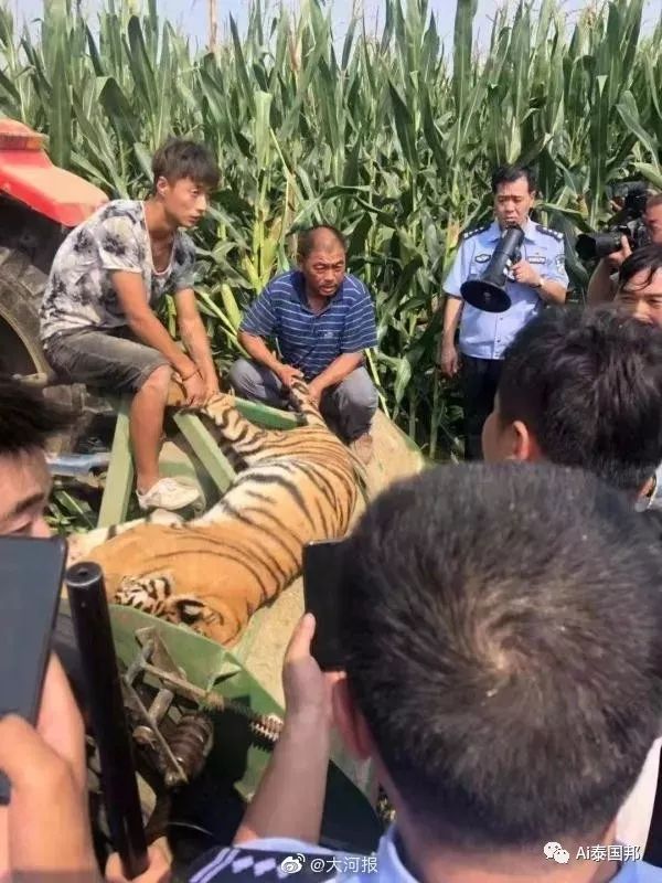 國際組織大力表揚中國遊客！去泰國旅遊，有件事正在變涼涼 旅遊 第3張