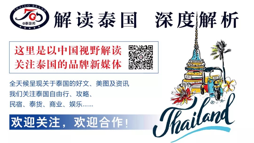 泰國宣告：電子簽證時代到來！3月1日覆蓋全中國，這次來真的！ 未分類 第11張