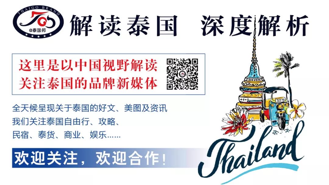 泰國宣告：電子簽證時代到來！3月1日覆蓋全中國，這次來真的！ 旅遊 第11張