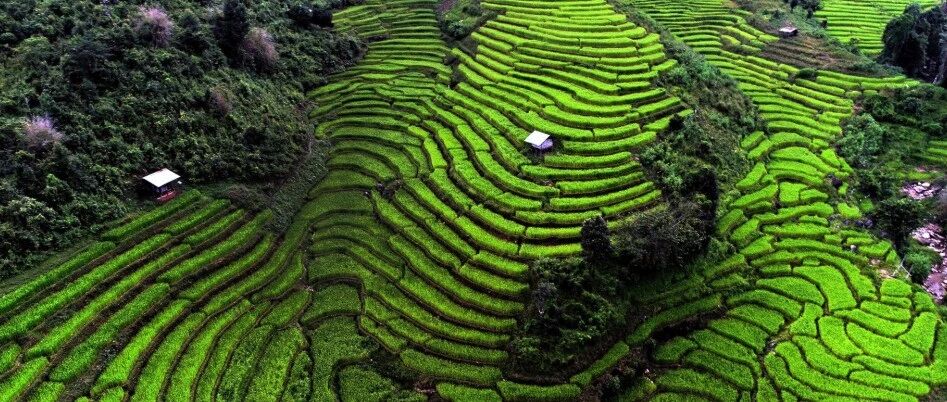 海拔最高的泰国屋脊！拥有362种鸟类，门票仅40铢，最低零下一度
