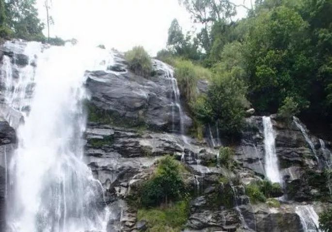 零下一度，全泰最冷！卻成了最熱鬧的景點，每日上萬人來旅遊露營 旅遊 第4張