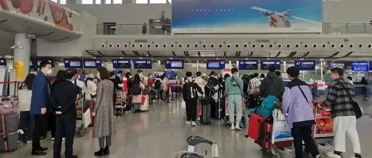 从成都到曼谷！泰国官方统筹协调，本月3批中国学生陆续赴泰留学