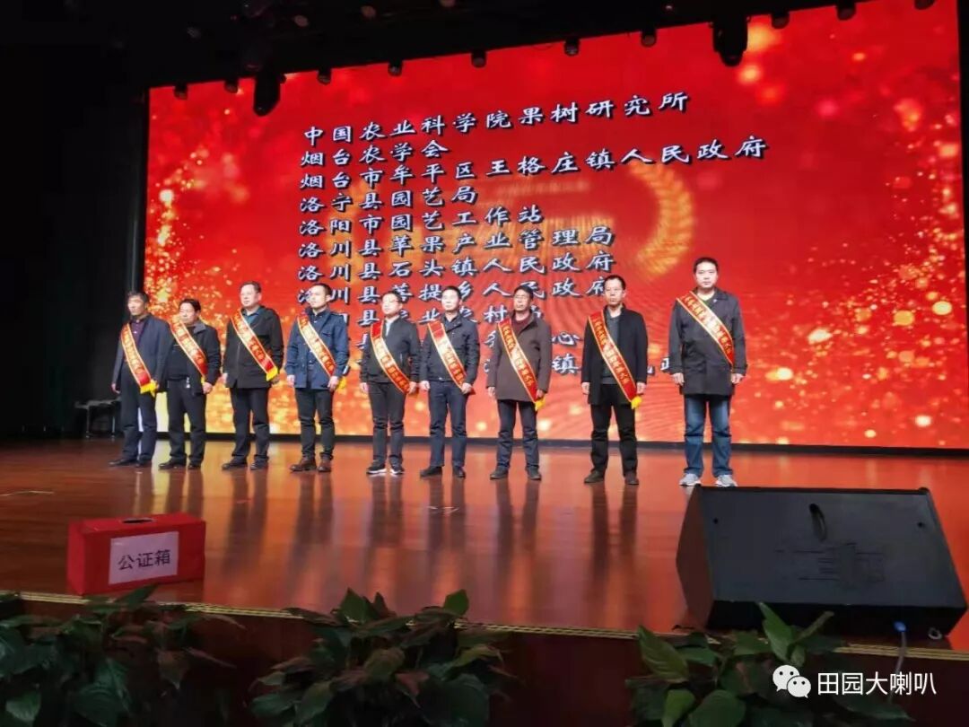 烟台果农在2019年中国好苹果大赛中获得金奖！