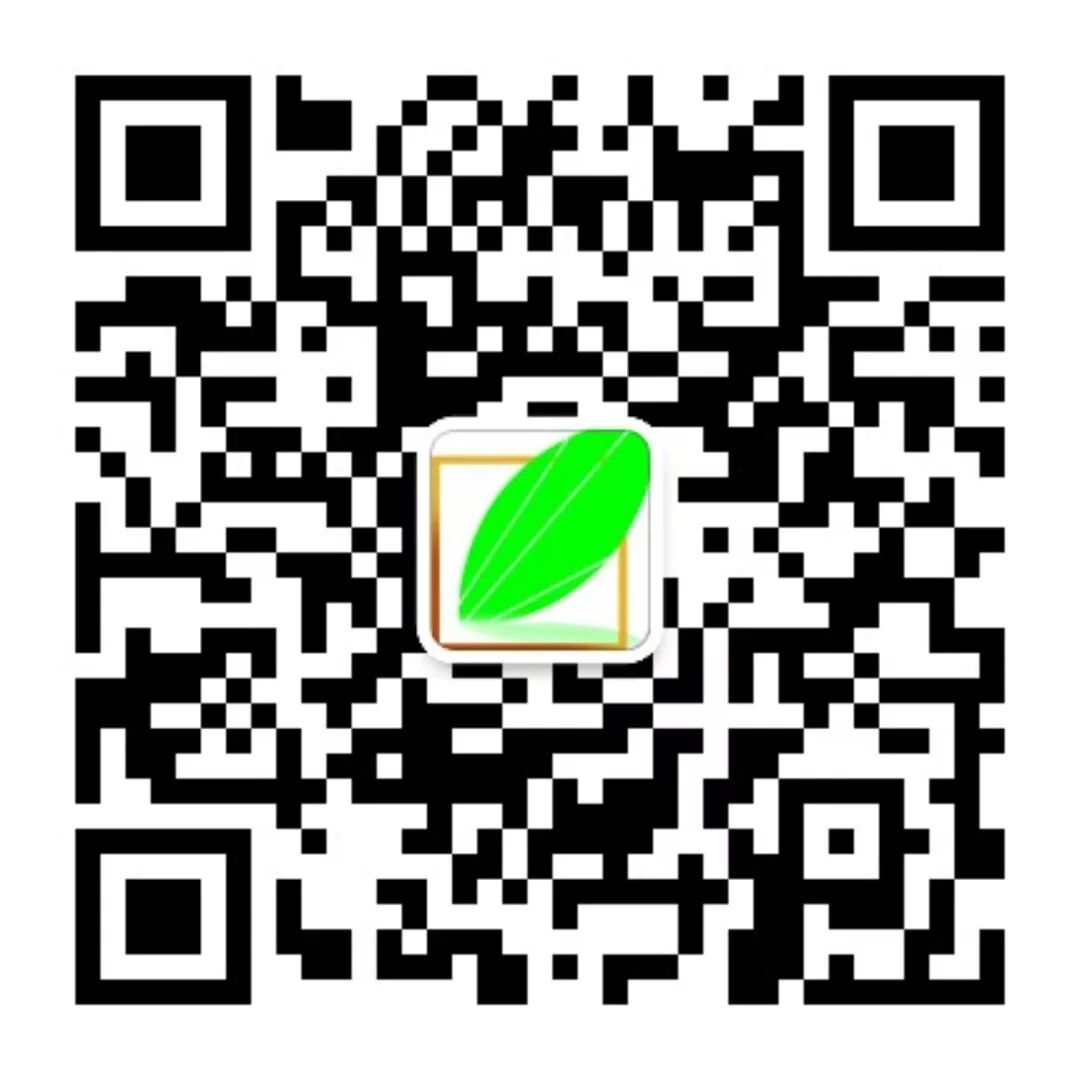 夜幕下的庭院，美到让人沉醉