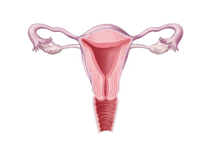 妇科流体敷料怎么用频繁使用洗液，菌群失衡导致阴道炎反复发作！妇科流体敷料调节阴道微生态平衡！_https://www.jmylbn.com_新闻资讯_第3张