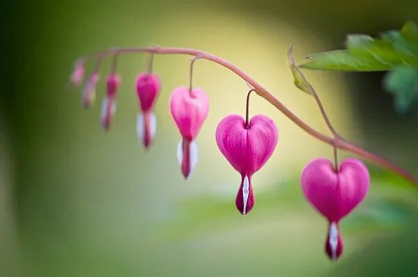 气功入门修炼方法 百日筑基和气冲病灶，是道家气功修炼必经之路！